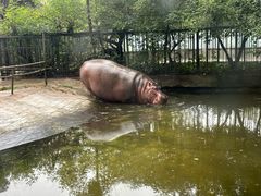 -成都动物园
