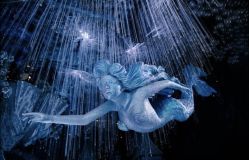 -华东饭店·园林式婚礼宴会厅酒店