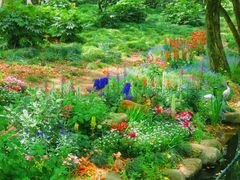 -上海共青森林公园