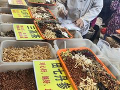 -南宁国际会展中心