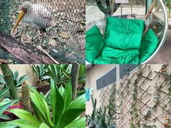 -正佳雨林生态植物园