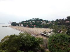 -鼓浪屿钢琴博物馆