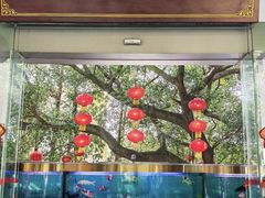 -鹿鸣酒家(越秀店)