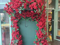 -坛宗剁椒鱼头(河西王府井店)