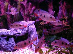 -上海海洋水族馆-停车场