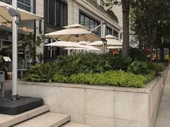 -一坐一忘云南菜(嘉里中心店)