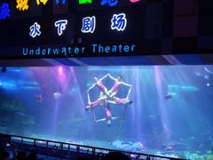 -泉城欧乐堡海洋极地世界