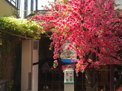 -丽江庭院之爱在路上(西单店)