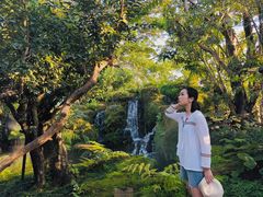 -Chom Cafe and Restaurant