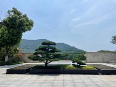 -树山生态村