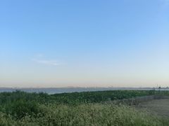 -七的湖·晚芳亭·阳澄湖农家菜·大闸蟹(莲花岛店)