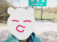 -珍宝岛