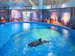 -海合安武汉极地海洋公园