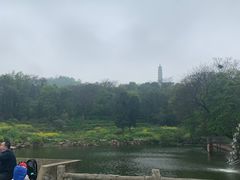 -巢湖姥山岛