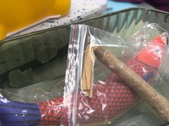 -半岛宠物医院24小时(白果林店)