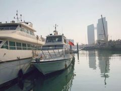 -渡海小渔村.老辈日照菜