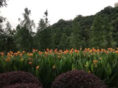 -重庆彩云湖湿地公园