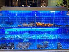 -厦门宝龙铂尔曼大酒店·海鲜自助餐厅