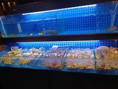 -吉布鲁牛排海鲜自助(芙蓉万家丽店)