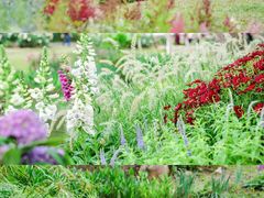 -人民公园(罗湖区)