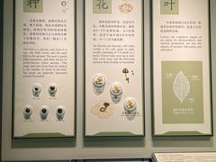 -中国茶叶博物馆(双峰馆区)