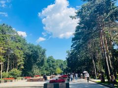 -黑龙江省森林植物园