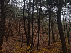 -红螺寺