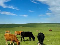 -塞罕坝国家级自然保护区