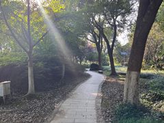 -新洲生态园