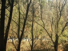 -昆明滇池国家级风景名胜区西山景区