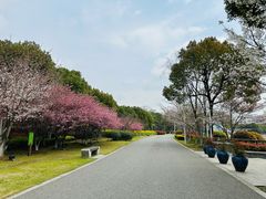 -石湖景区