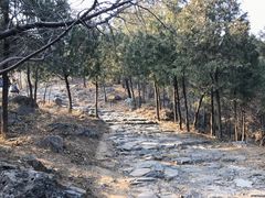 -阳台山自然风景区