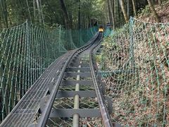 -藏龙百瀑风景区