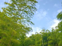 -众神白水涧景区