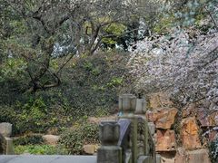 -北寺塔