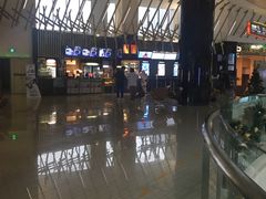 -金逸影城(武汉人信汇IMAX店)