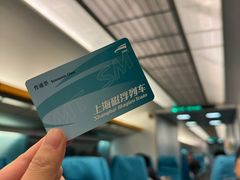 -龙阳路磁悬浮列车总站-停车场