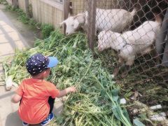 -小鱼草莓采摘园农家乐·小鱼餐厅