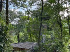 -芦仙山景区-飞越丛林探险乐园