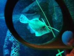 -沈阳海洋探索中心