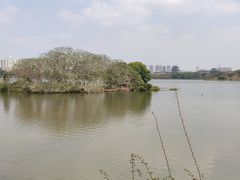 -海珠湖公园