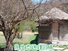 -大九湖
