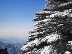 -黄山风景区