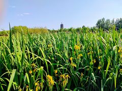 -永定河休闲森林公园