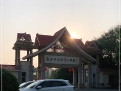 -大湾区中央湿地公园-十九涌