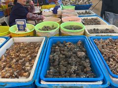 -东河市场