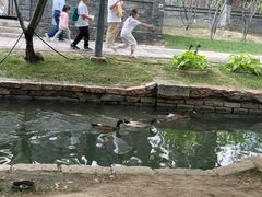 -春风习习