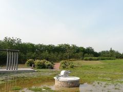 -马家湾湿地公园