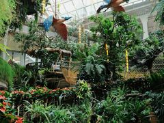 -正佳雨林生态植物园