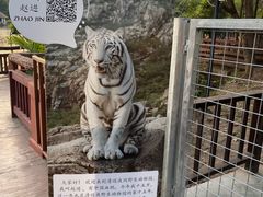 -清迈夜间动物园